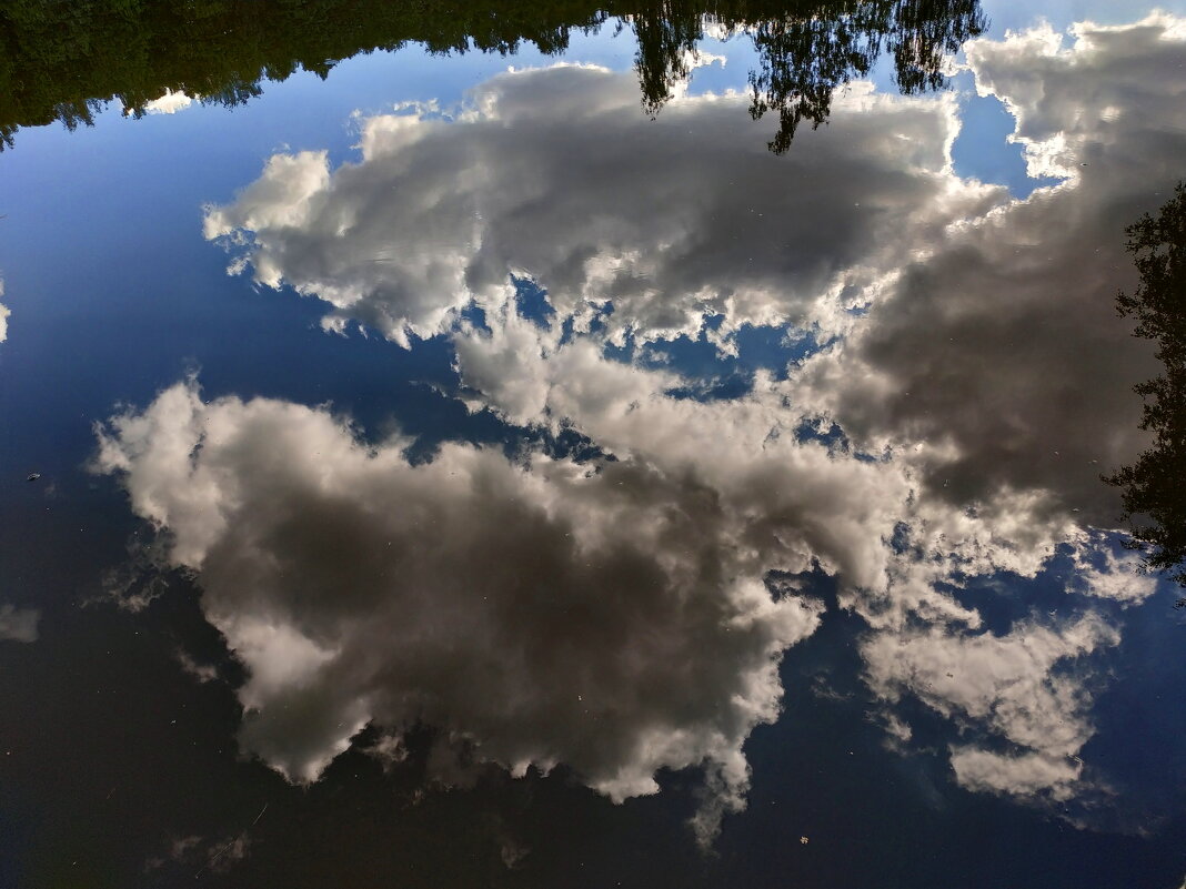Эти облака уж точно плавали - Андрей Лукьянов
