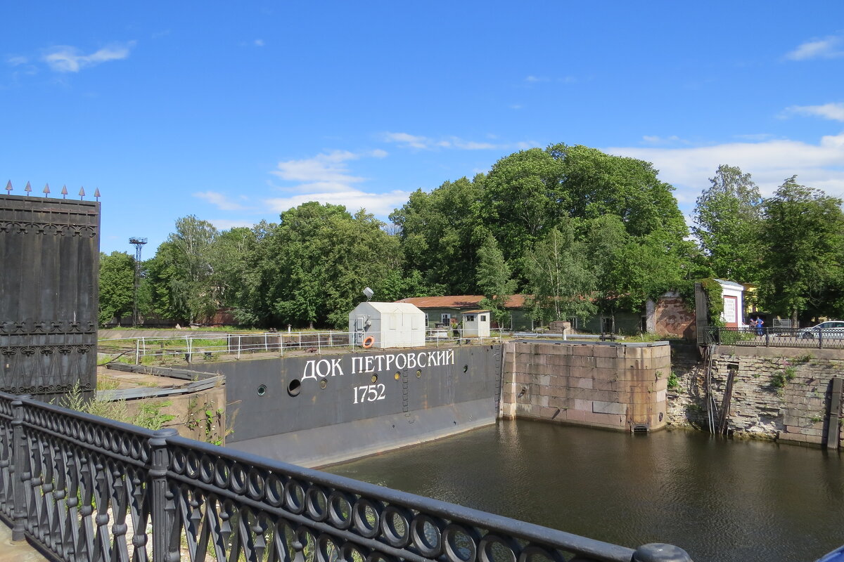 Док Петровский - Вера Щукина