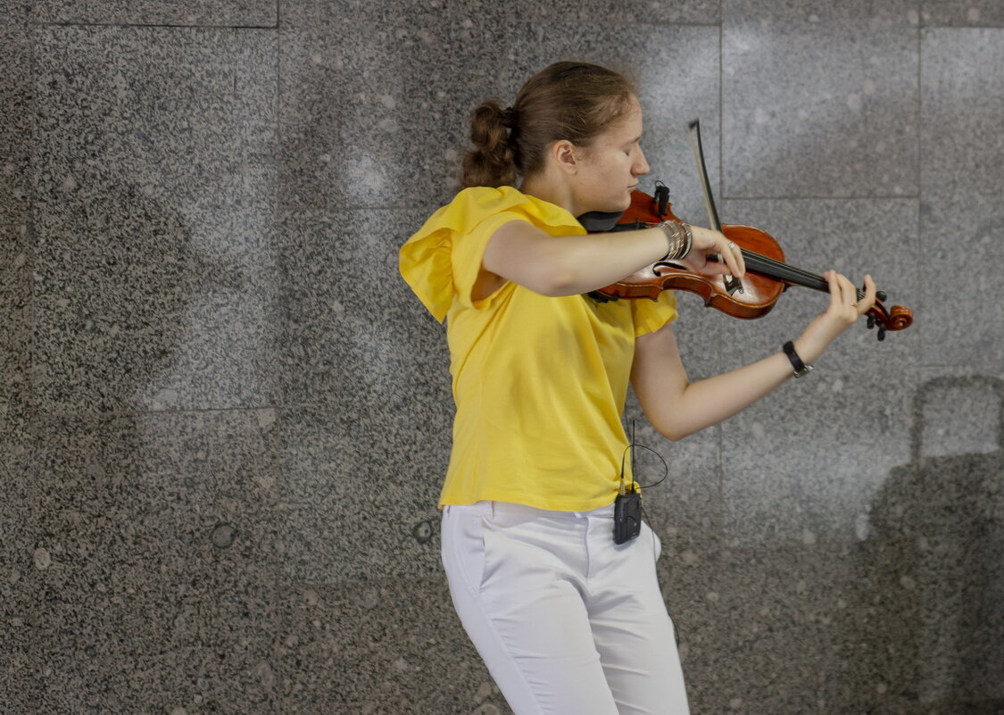 Звуки скрипки в подземном переходе - Александр Степовой 
