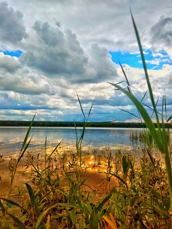 На озере - Евгения Шикалова