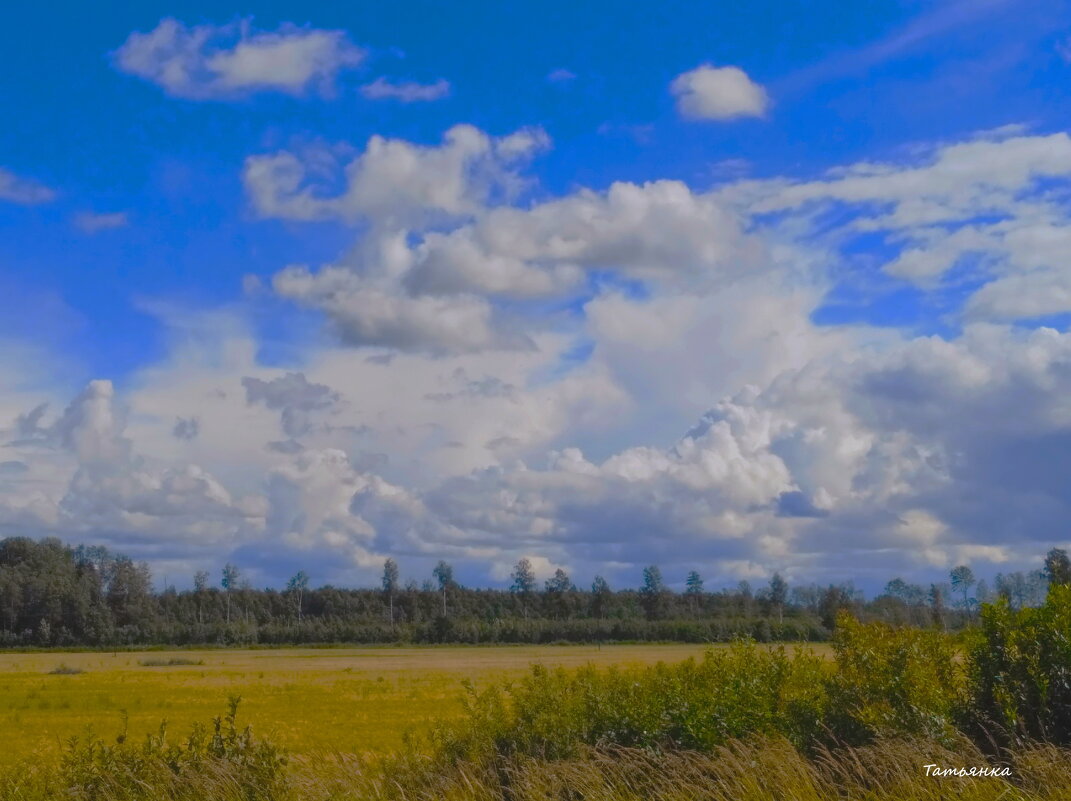 Летний пейзаж с облаками... - Татьян@ Ивановна