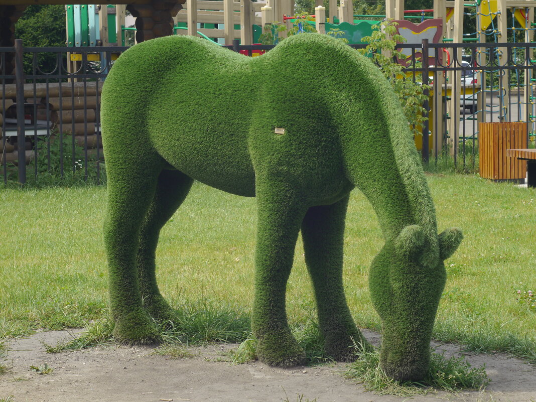 Зелёная лошадка - Сергей Михальченко