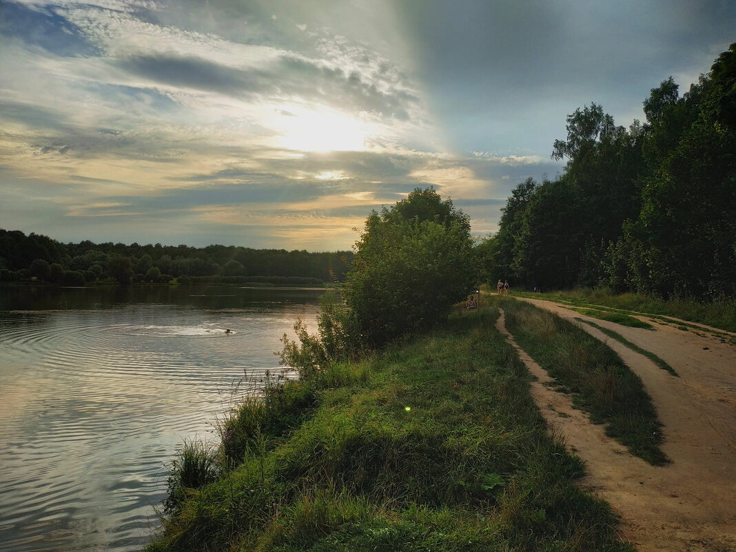 Просто летний вечер на пруду - Андрей Лукьянов