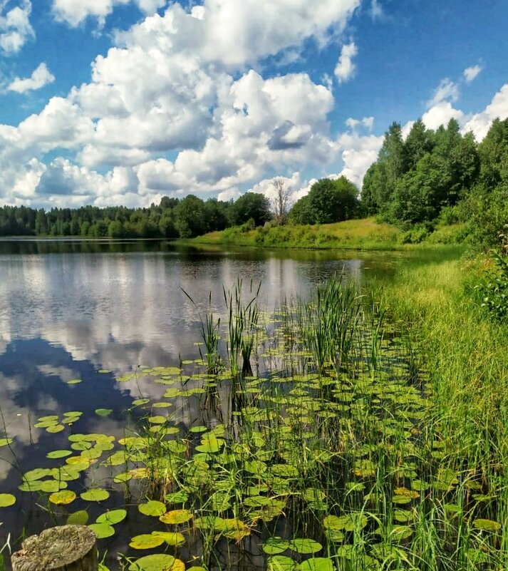озеро Городно - Валентина. .