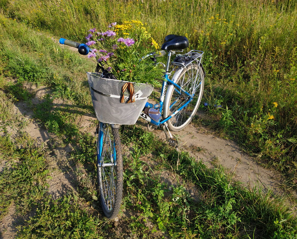 "Я буду долго гнать велосипед" пока ни "нарву цветов..." - Андрей Лукьянов
