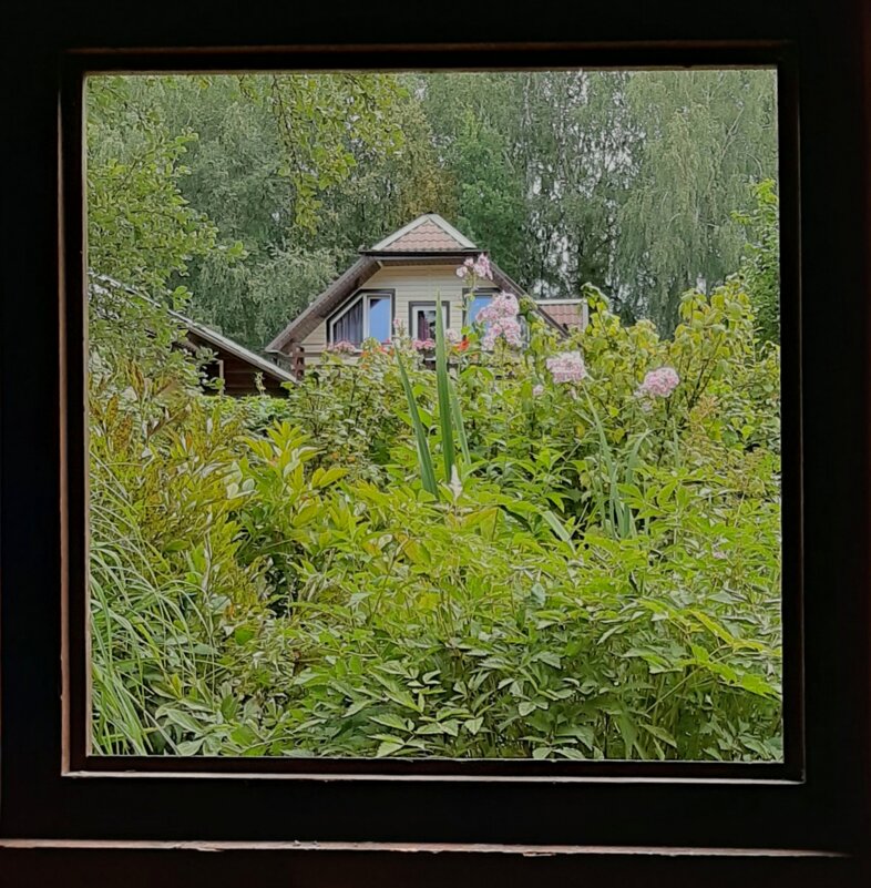 Окно в сад - Tanja Gerster