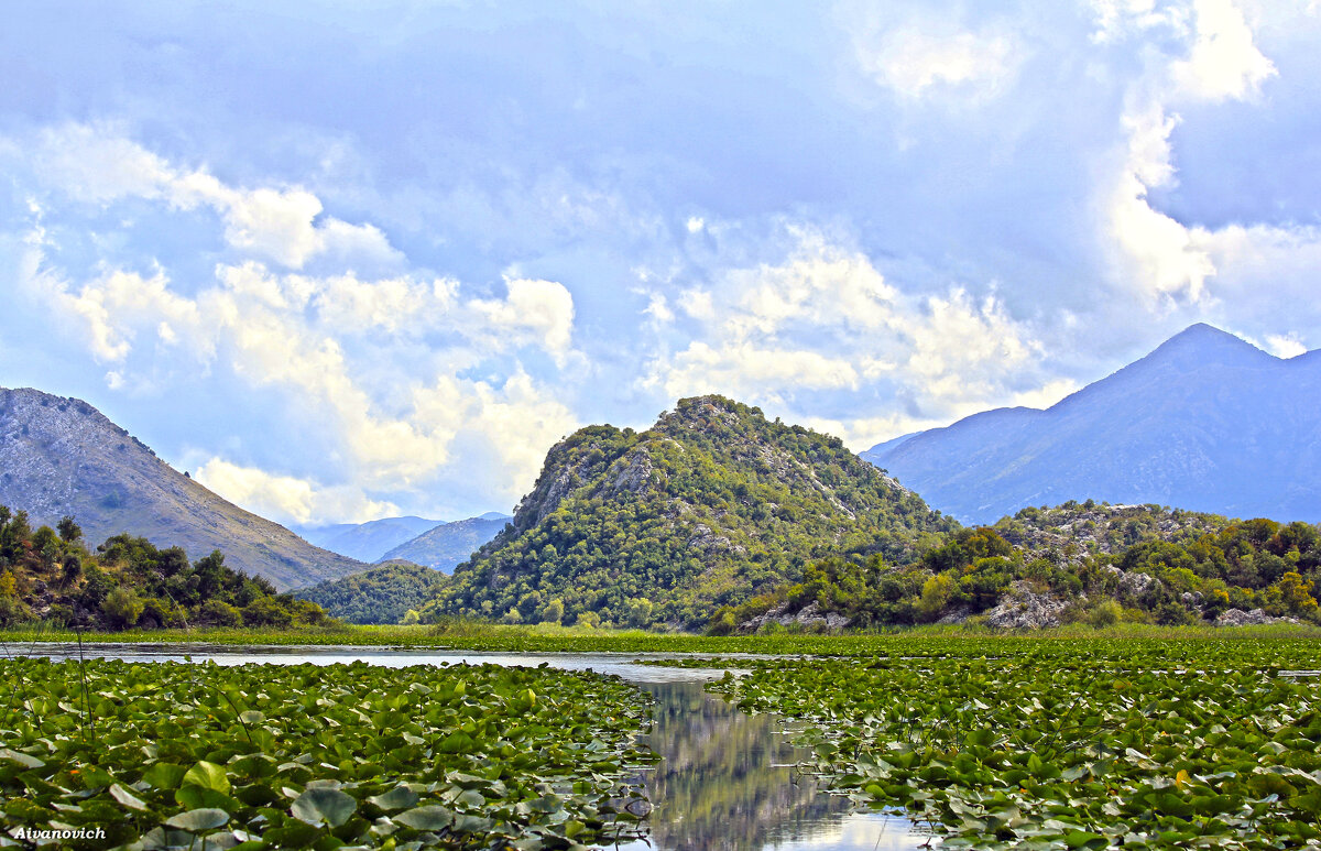 Обои Скадарское озеро