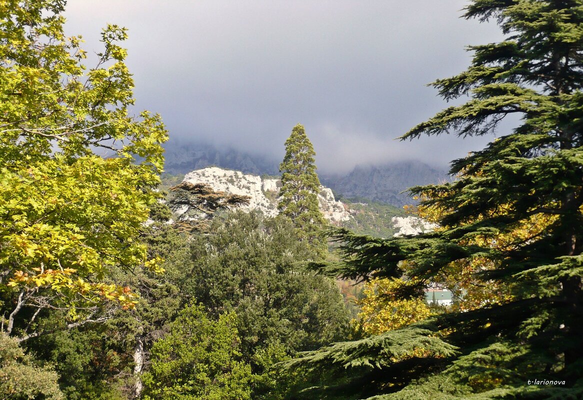 В Алупкинскомм парке - Татьяна Ларионова