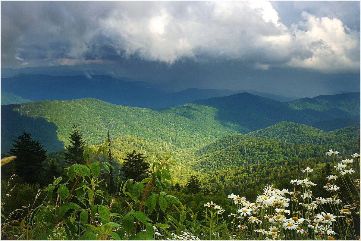 Great Smoky Mountains - Танкист .