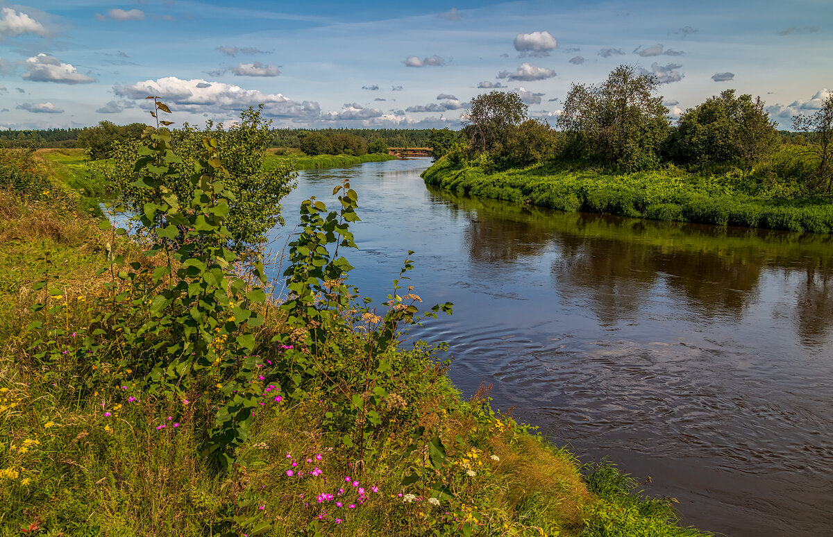Из далека долго течет река Клязьма ...... - Андрей Дворников
