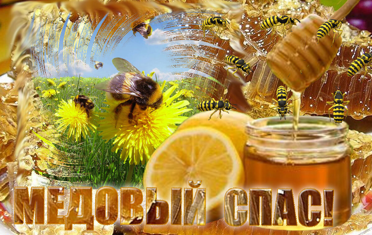 Вкушайте мёд и будете здоровы - Nikolay Monahov