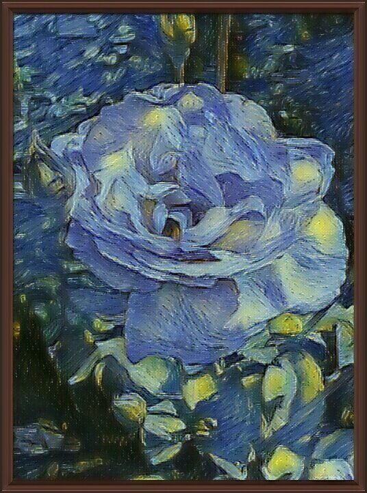 Голубая роза - Владимир Бровко