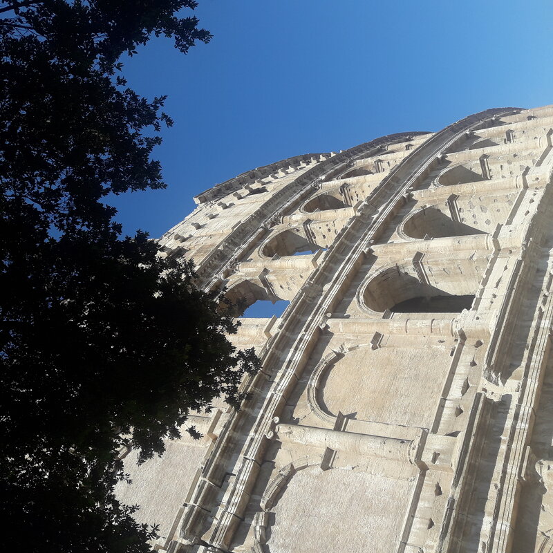 Roma. Coloseo. - Yulia Raspopova