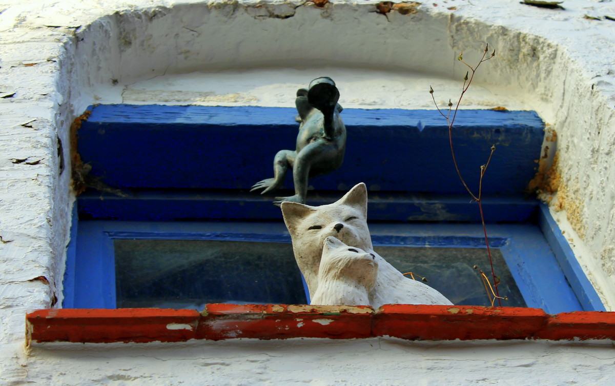 The cats - Денис Шамов