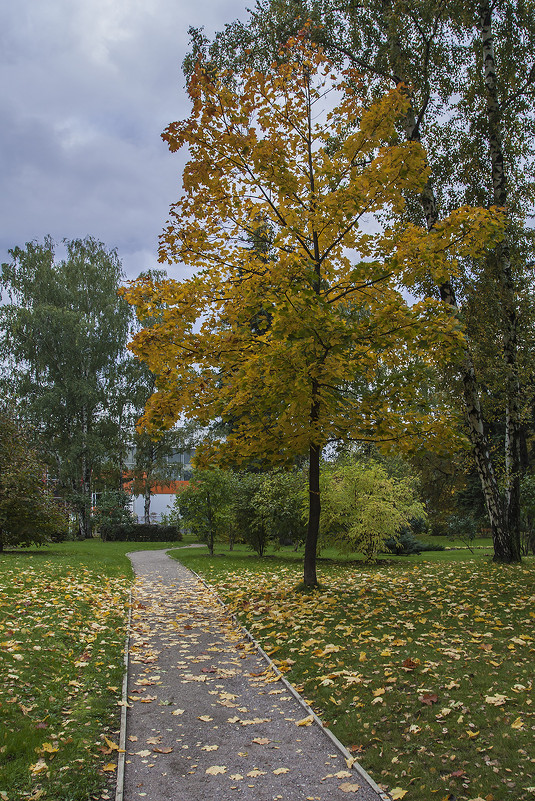 Осенний пейзаж - Андрей Шаронов