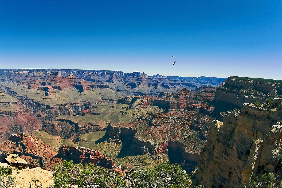 Grand Canyon National Park - Ольга Маркова