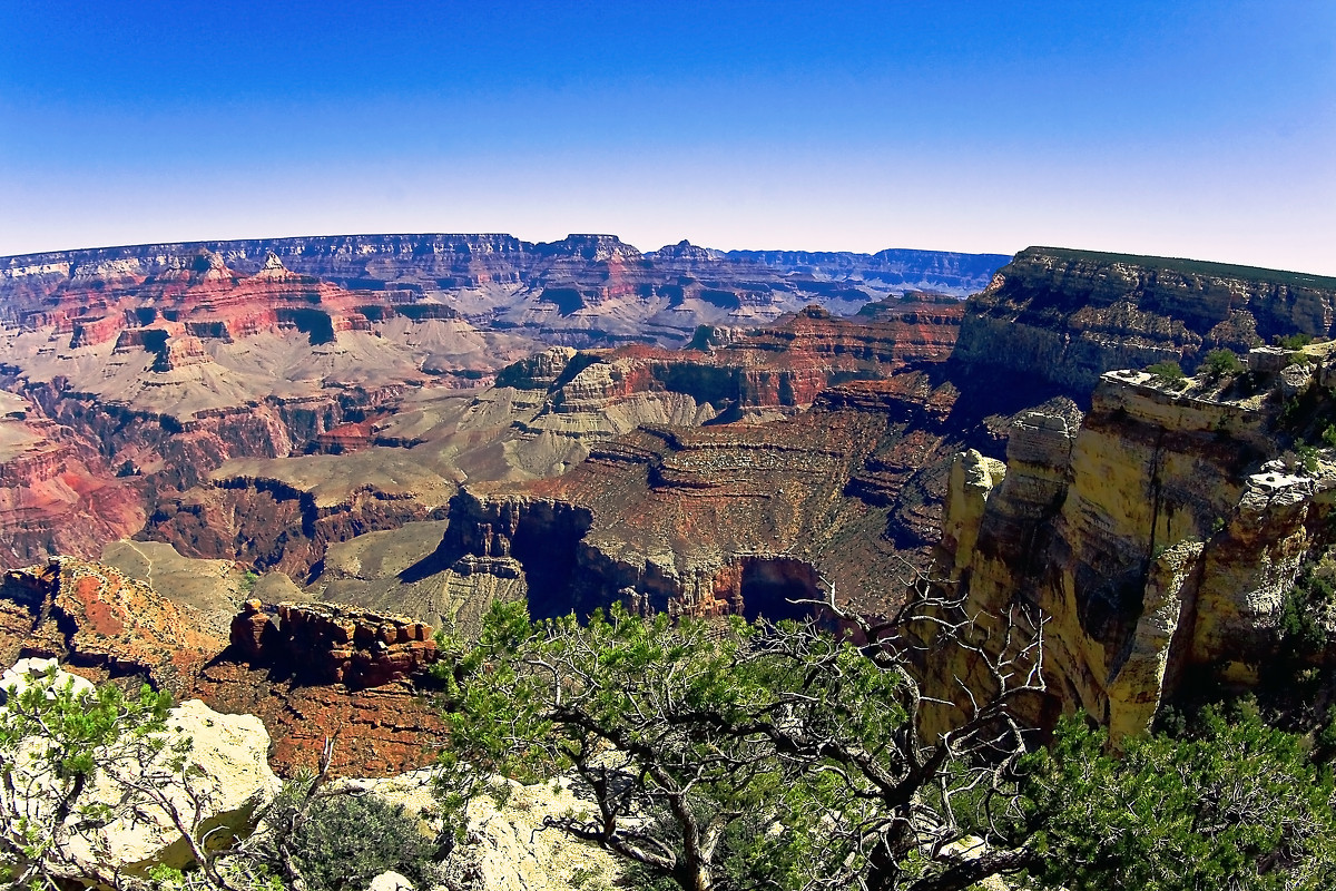 Grand Canyon National Park - Ольга Маркова