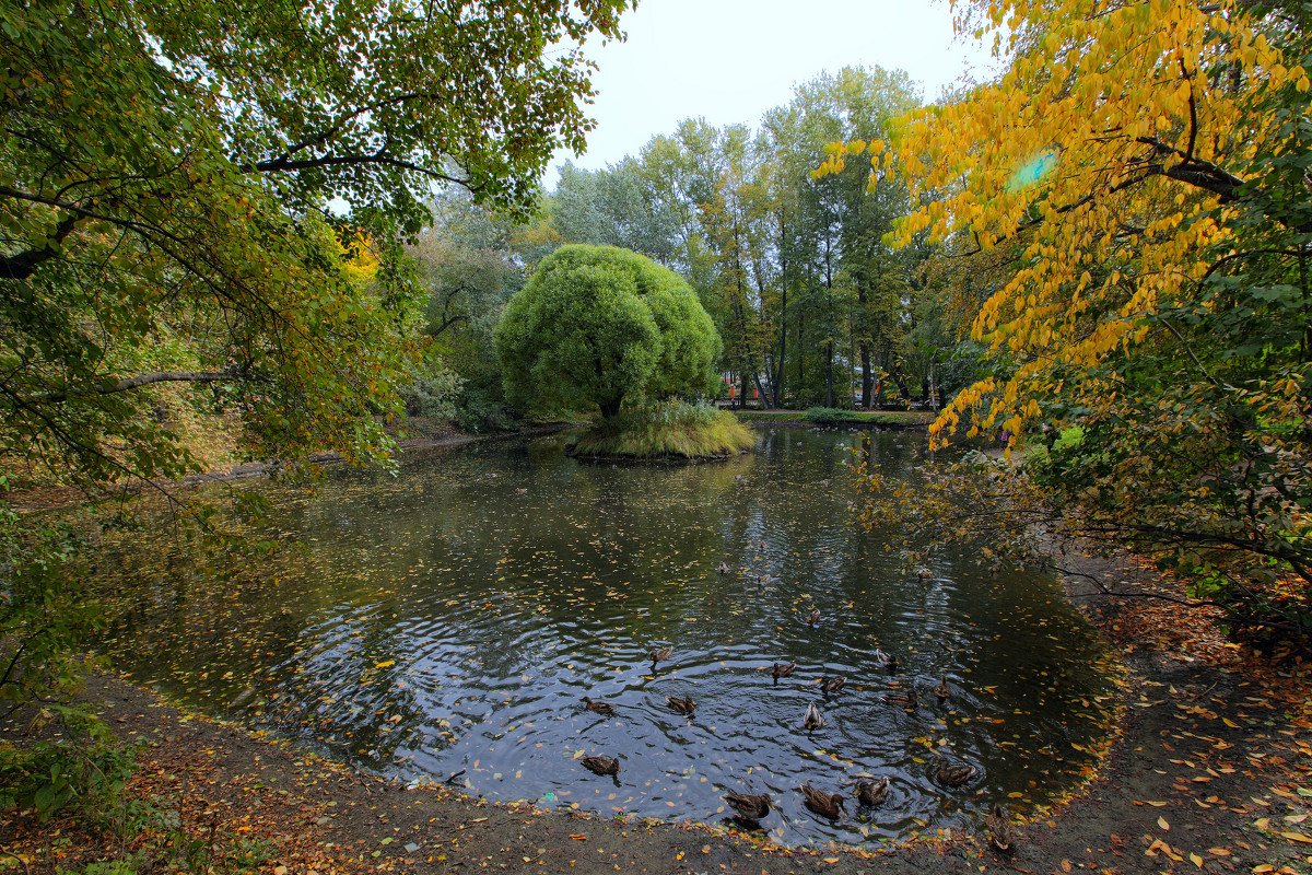 Осеннее озеро - Sergey Sergeev