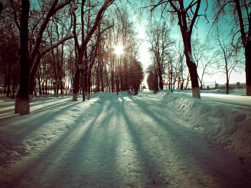 Зимнее утро в парке - Дарья Яковлева