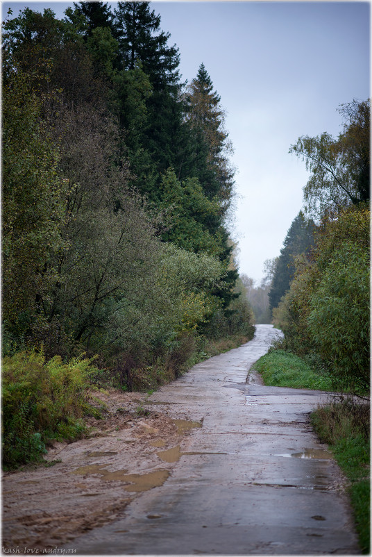 Осень - Анастасия Kashmirka