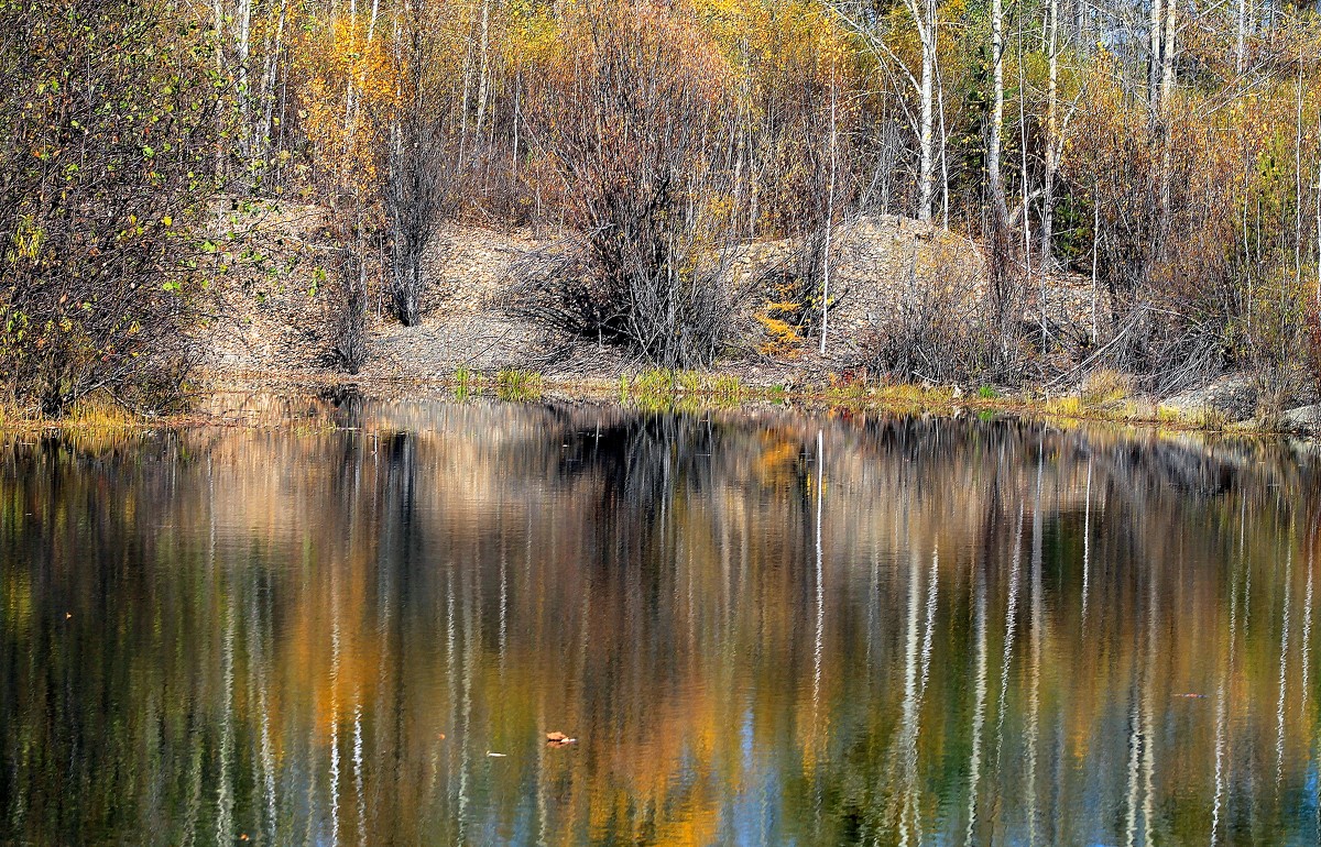 *** - Marusiya БОНДАРЕНКО