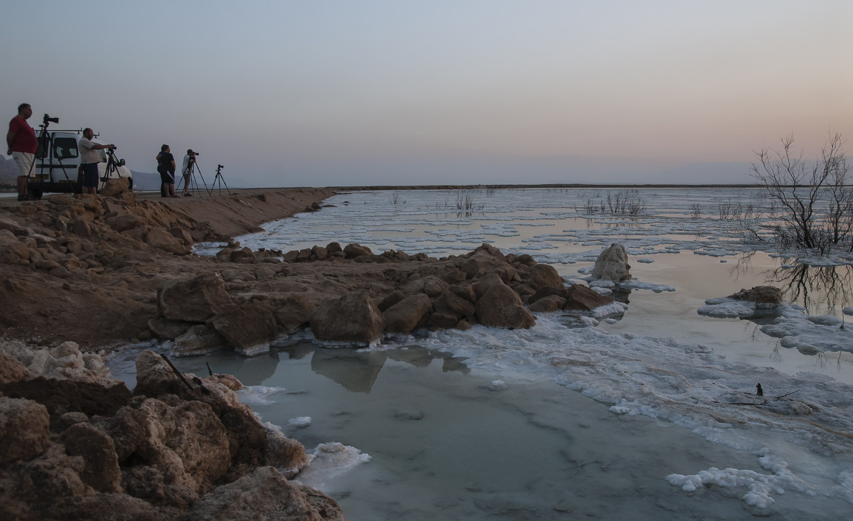 Мертвое море.Коллеги - susanna vasershtein