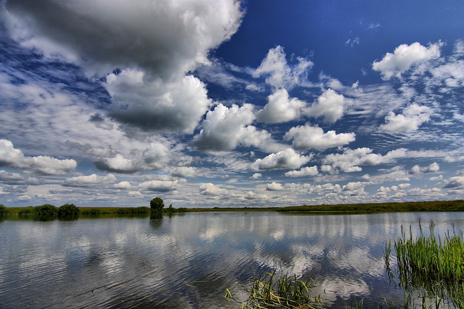 река и луга - Pavel Stolyar