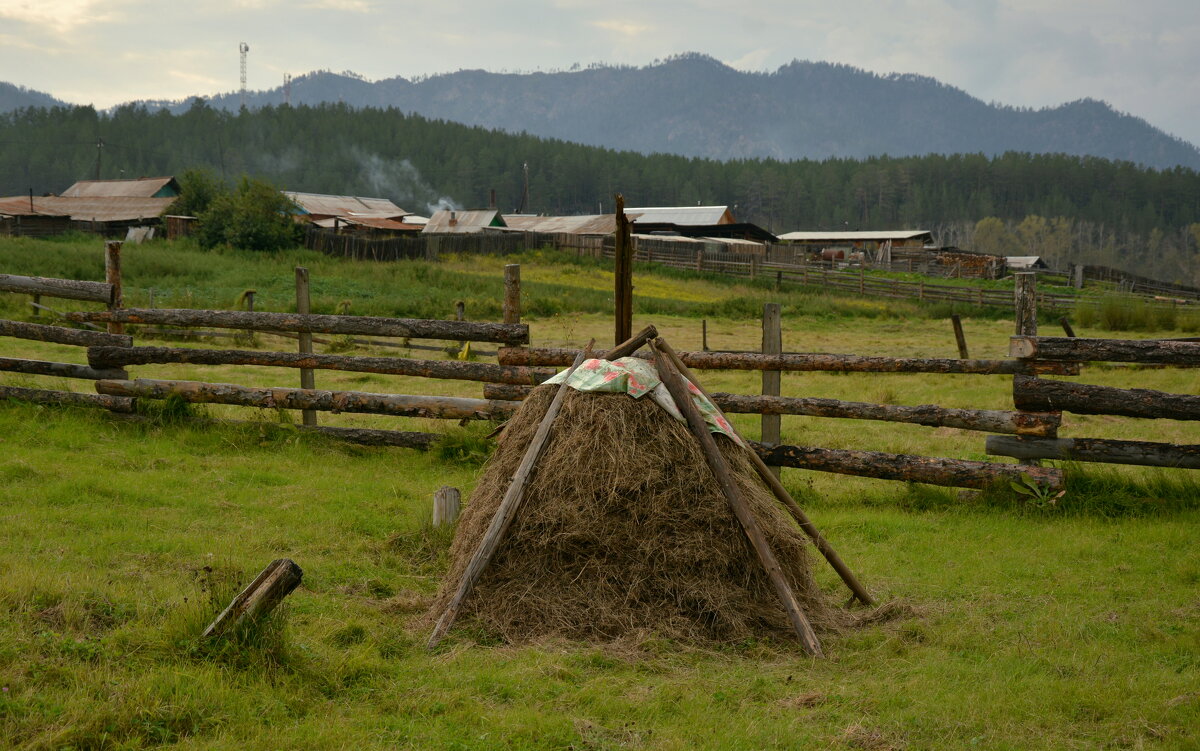 * - Наталья Покацкая