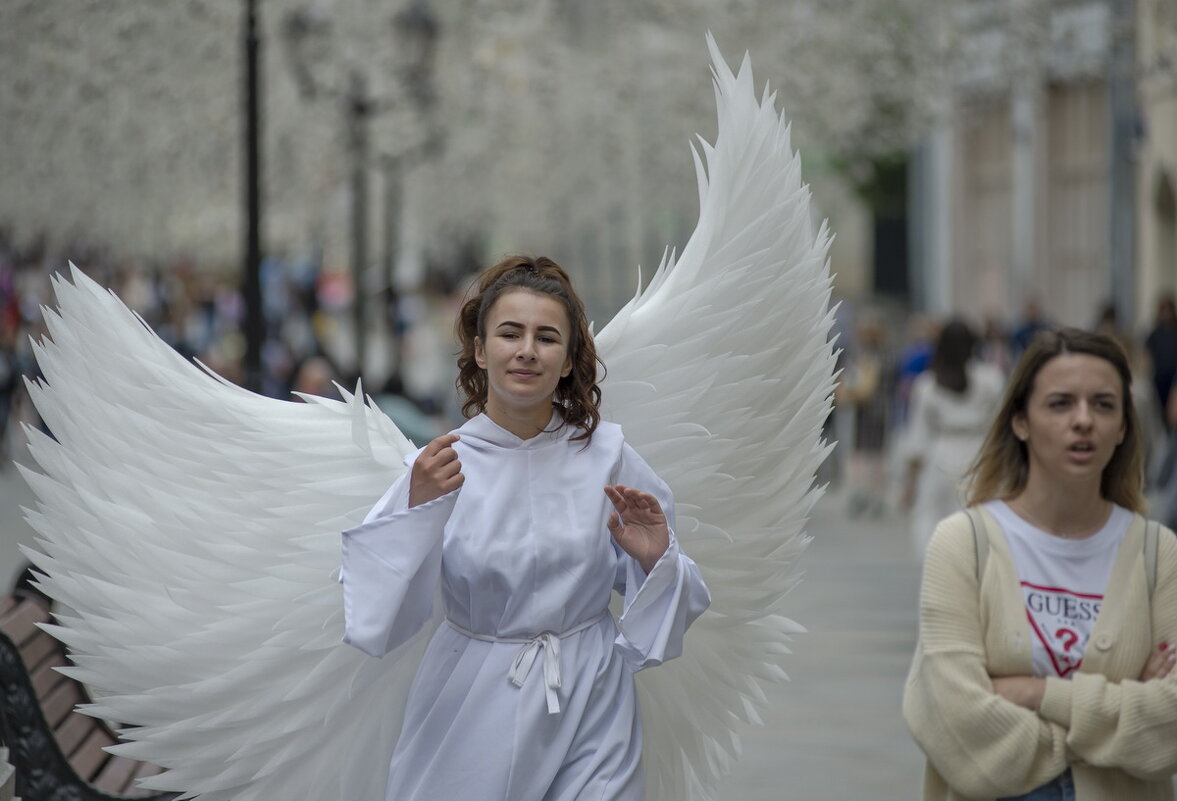 И на городской улице можно встретить ангела ... - Александр Степовой 