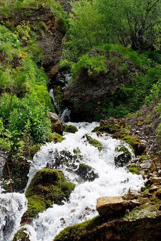 ПРОГУЛКА к водопаду. - Виктор Осипчук