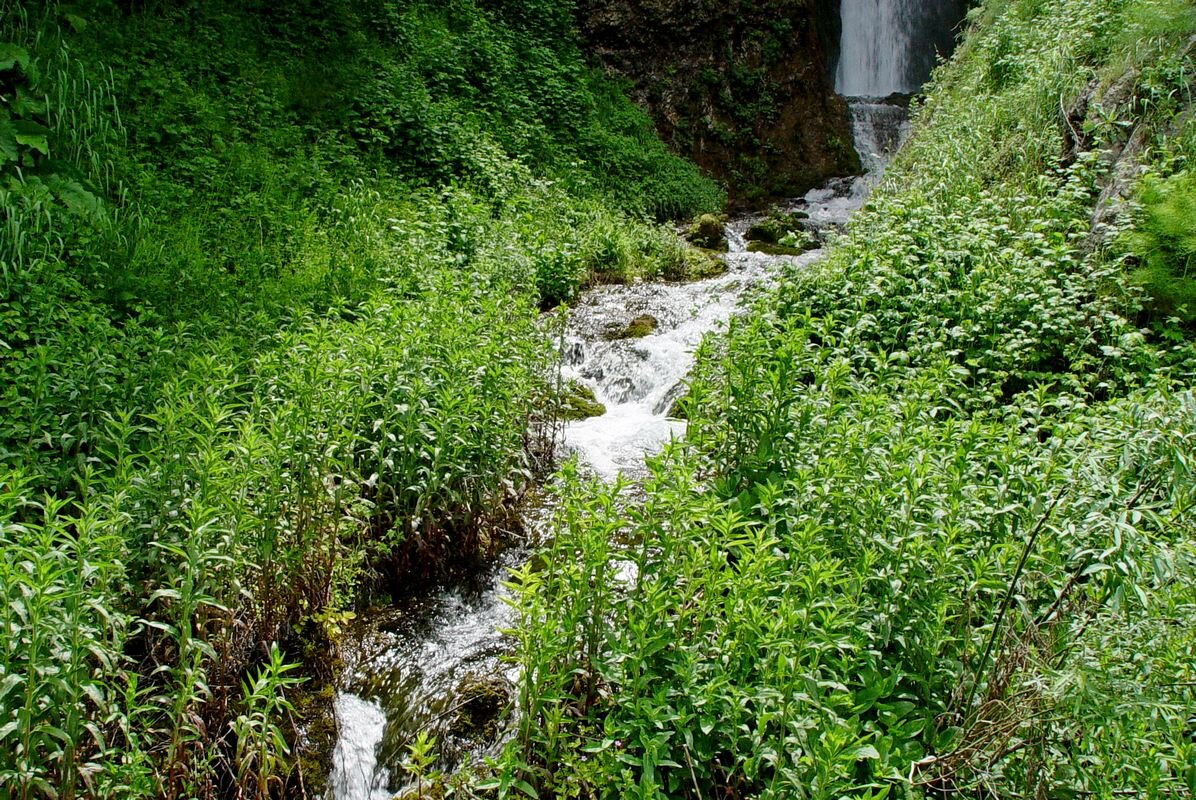 ПРОГУЛКА до водопада. - Виктор Осипчук