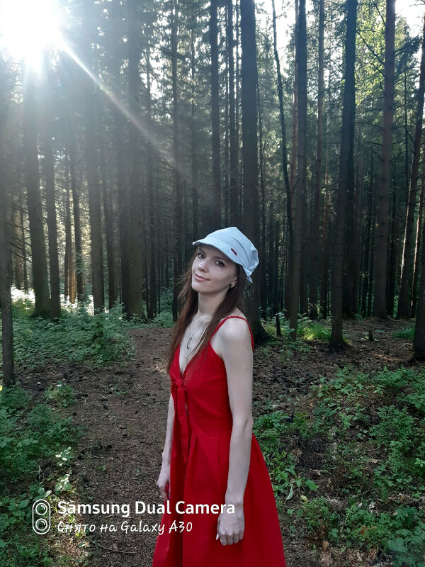 Замечательный лес - Светлана Громова