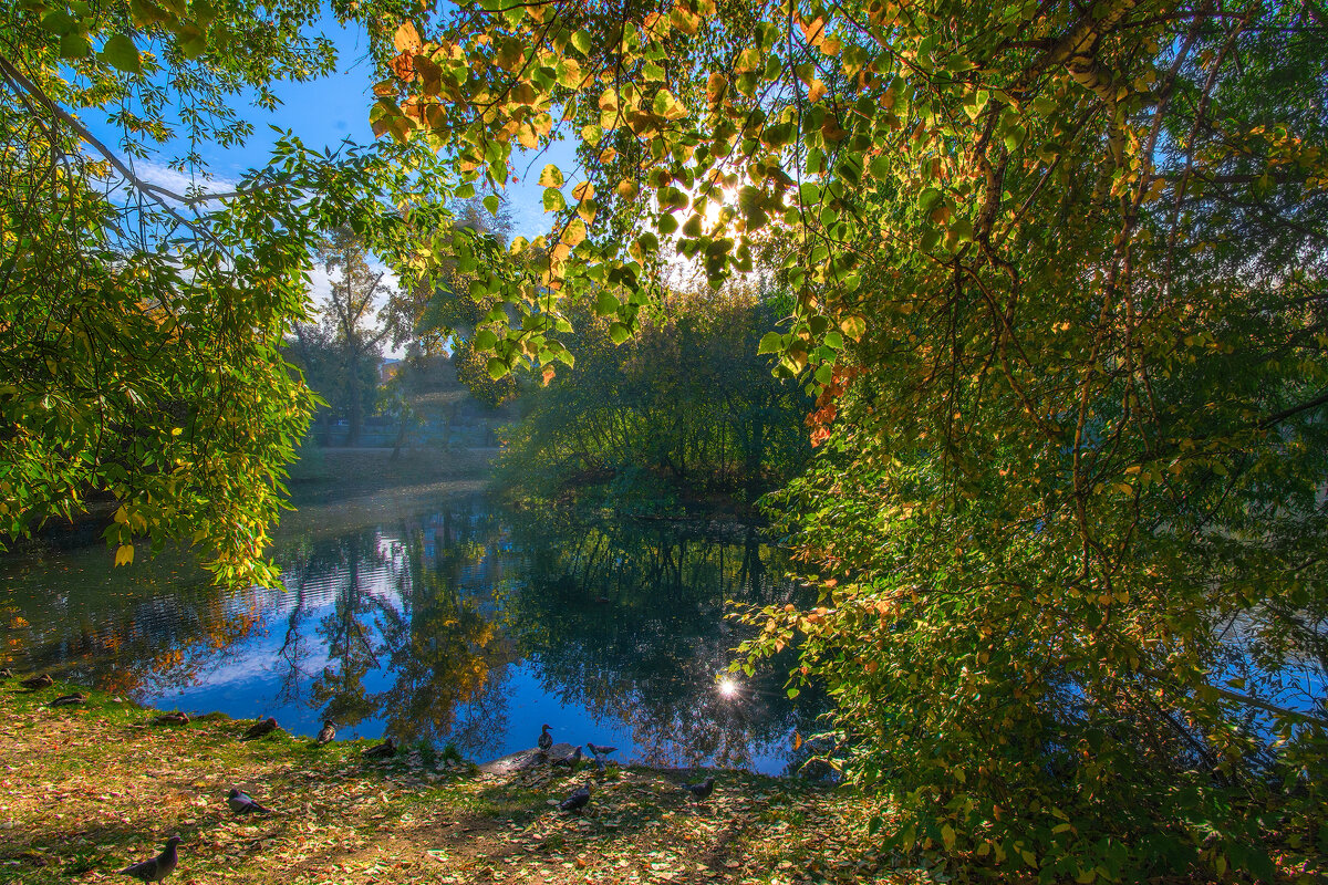 Осень в старом парке - Vladimbormotov 