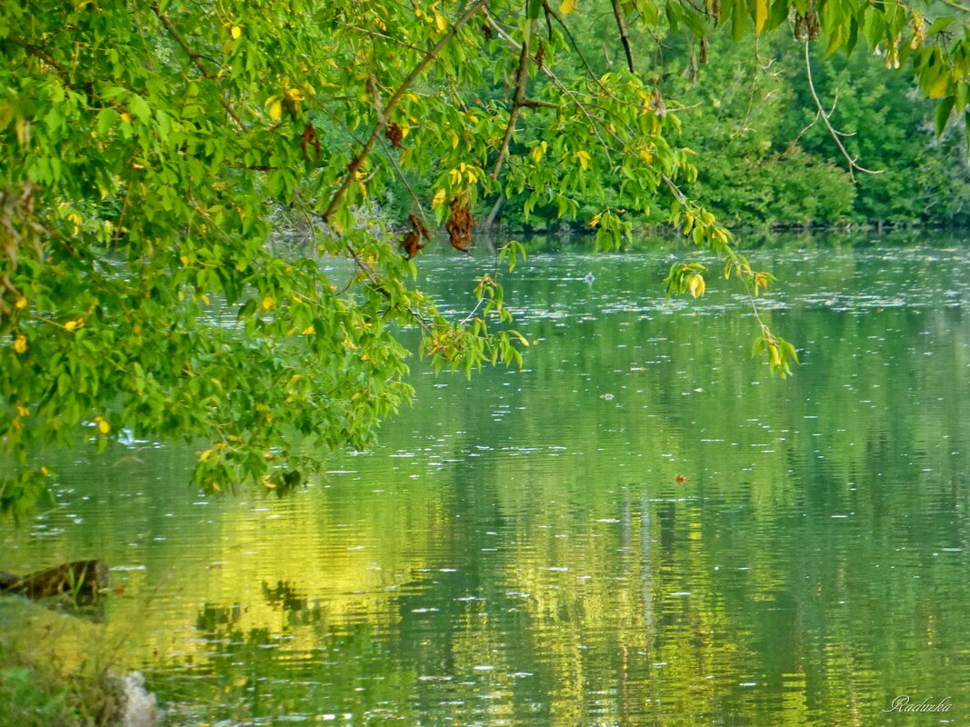 Лесное озеро - Raduzka (Надежда Веркина)
