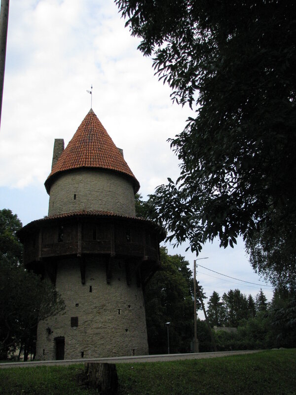 Башня-замок - Владислав Плюснин