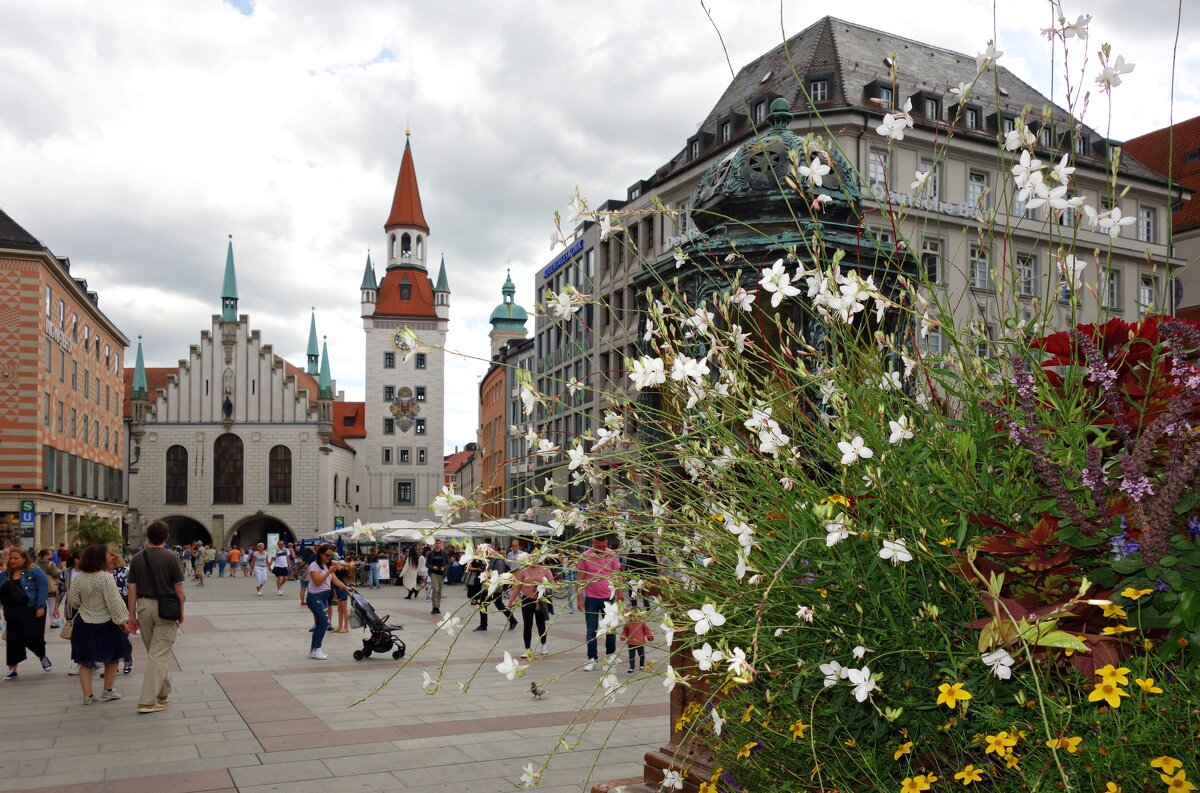 München... - Galina Dzubina