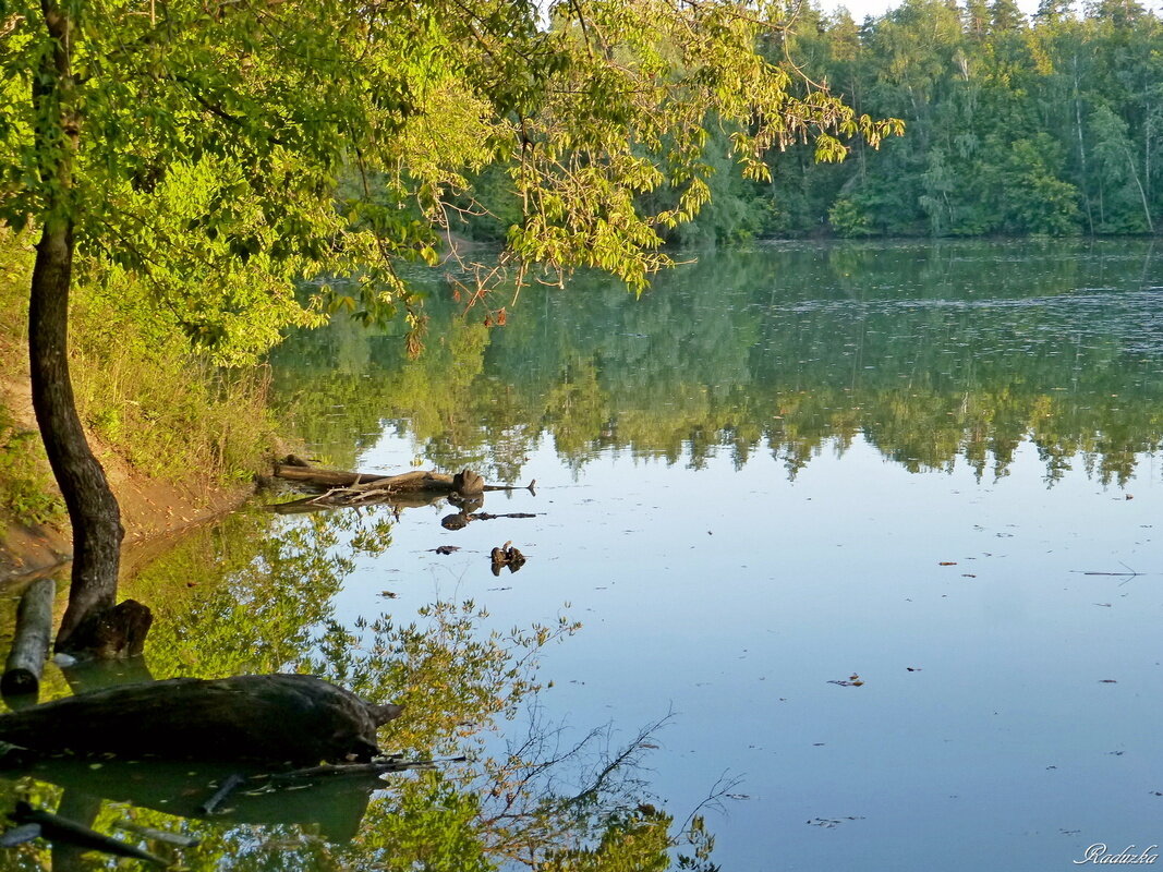 Закат на лесном озере - Raduzka (Надежда Веркина)