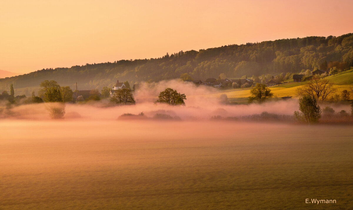 misty morning - Elena Wymann