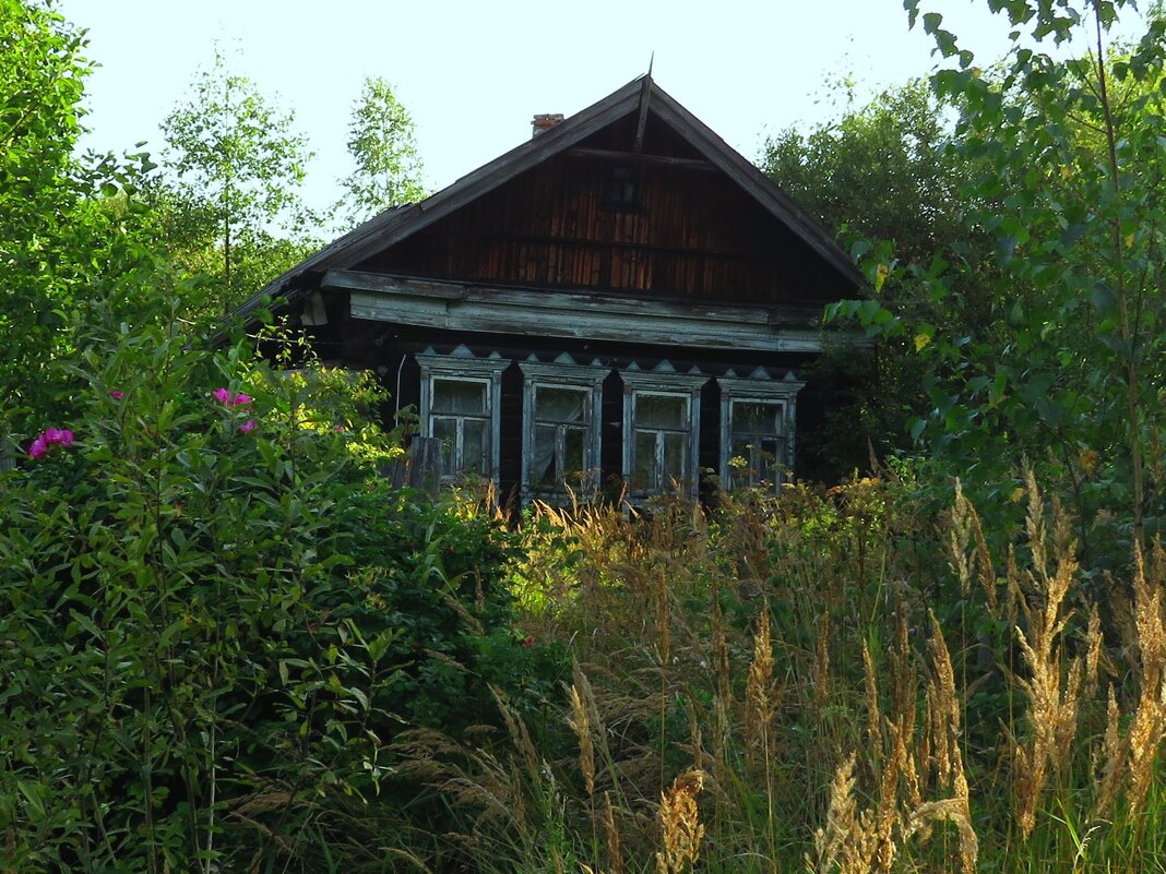 Старый дом - Андрей Снегерёв