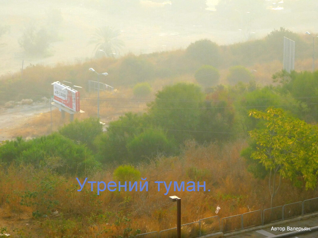 Утрений туман. - Валерьян Запорожченко