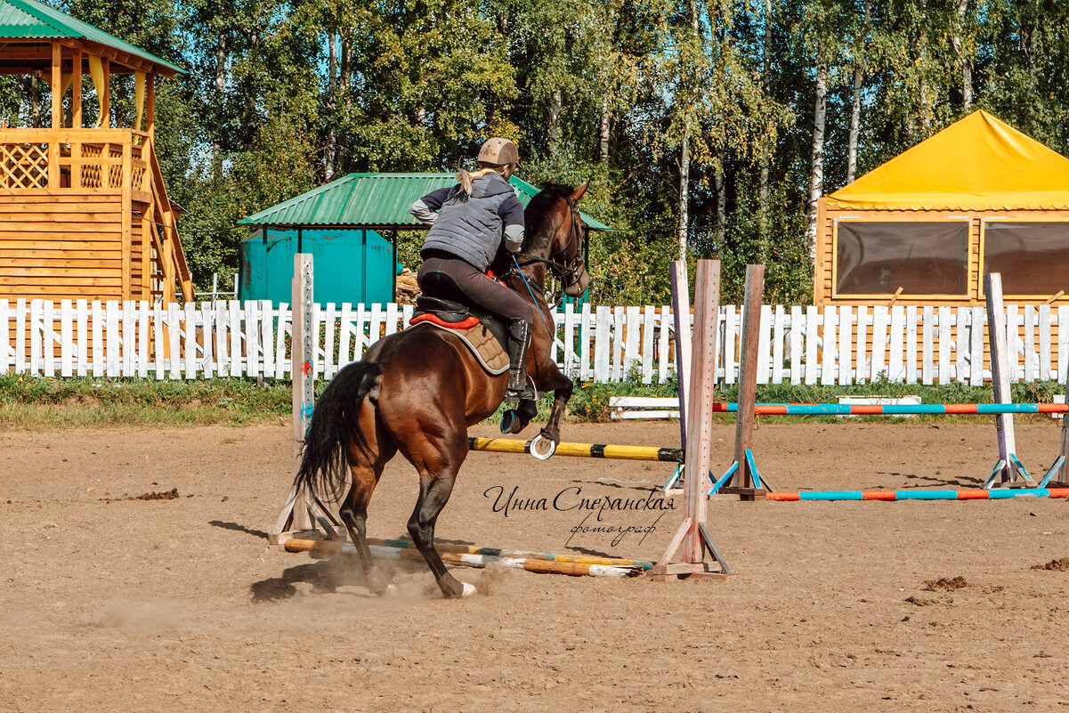 *** - Инна Сперанская