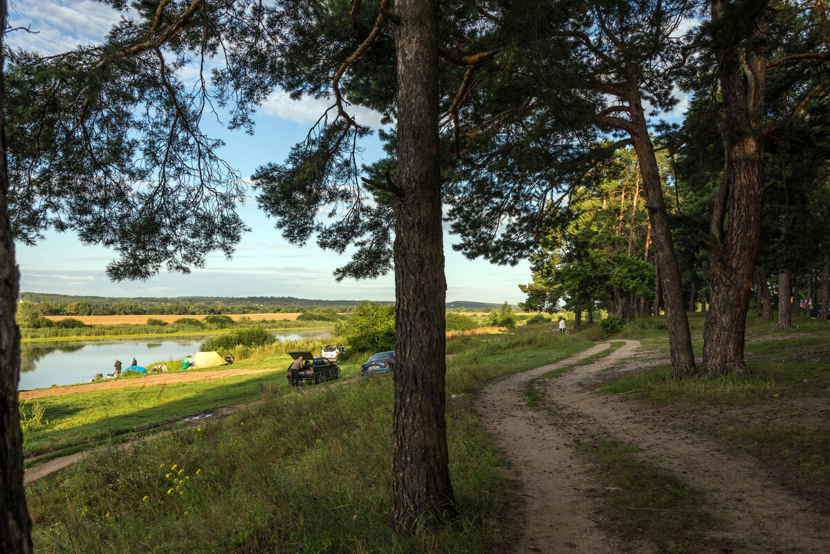 *** - Владимир Безбородов