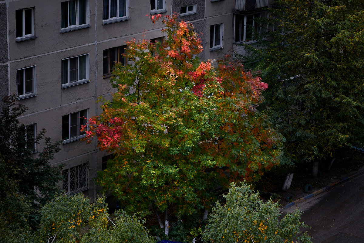 Осень. - Владимир 