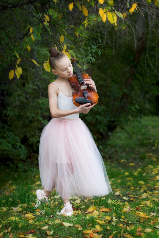Violin - Сергей Ладкин