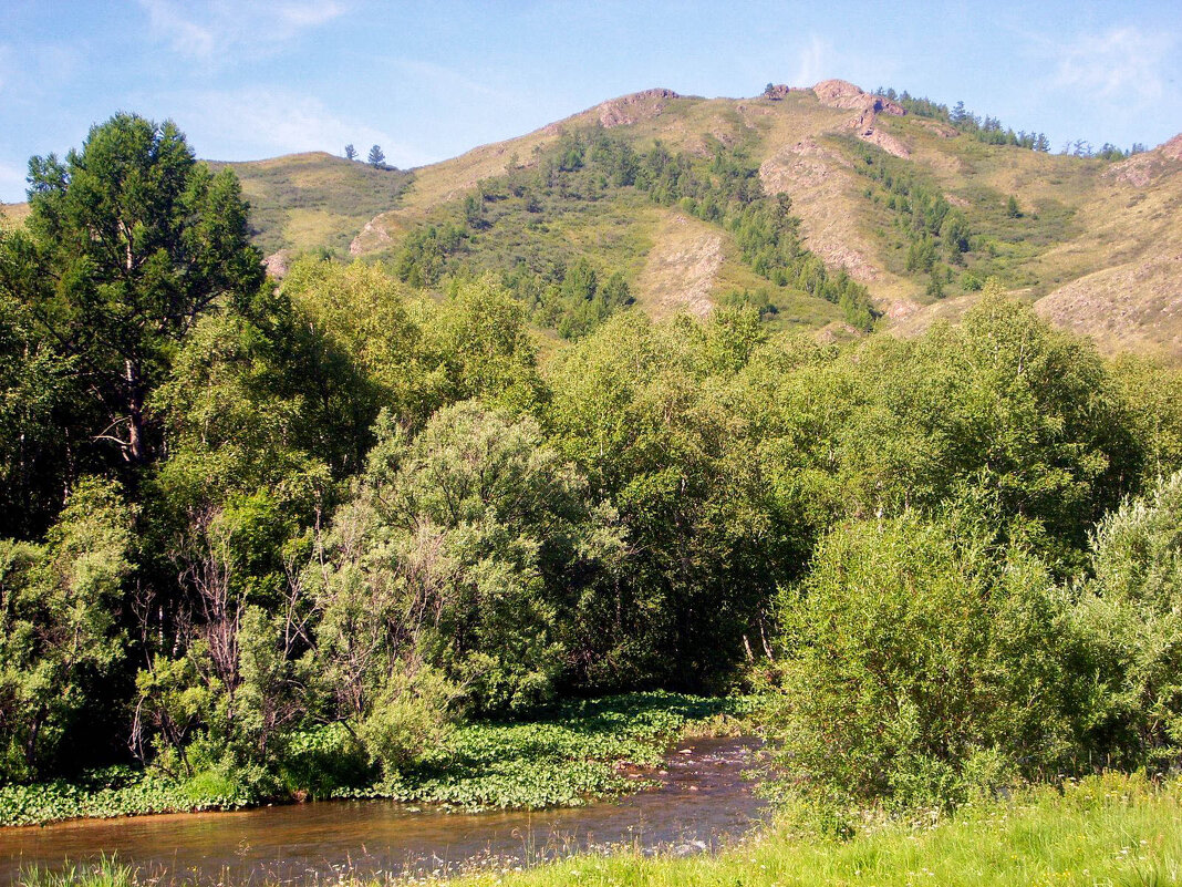 Река Аскиз у подножия горы Аар-таг - Максим Ахпашев