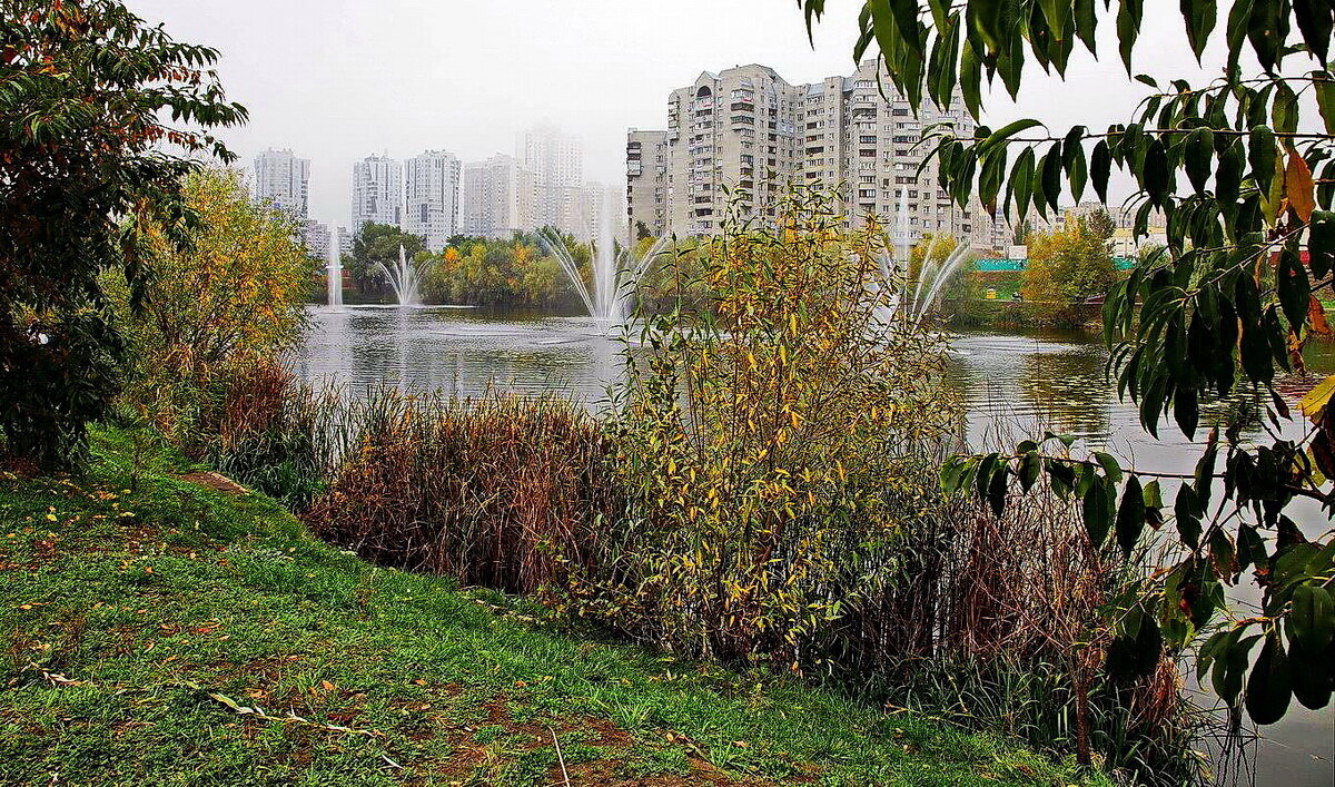 Городская осень... - Petr Vinogradov