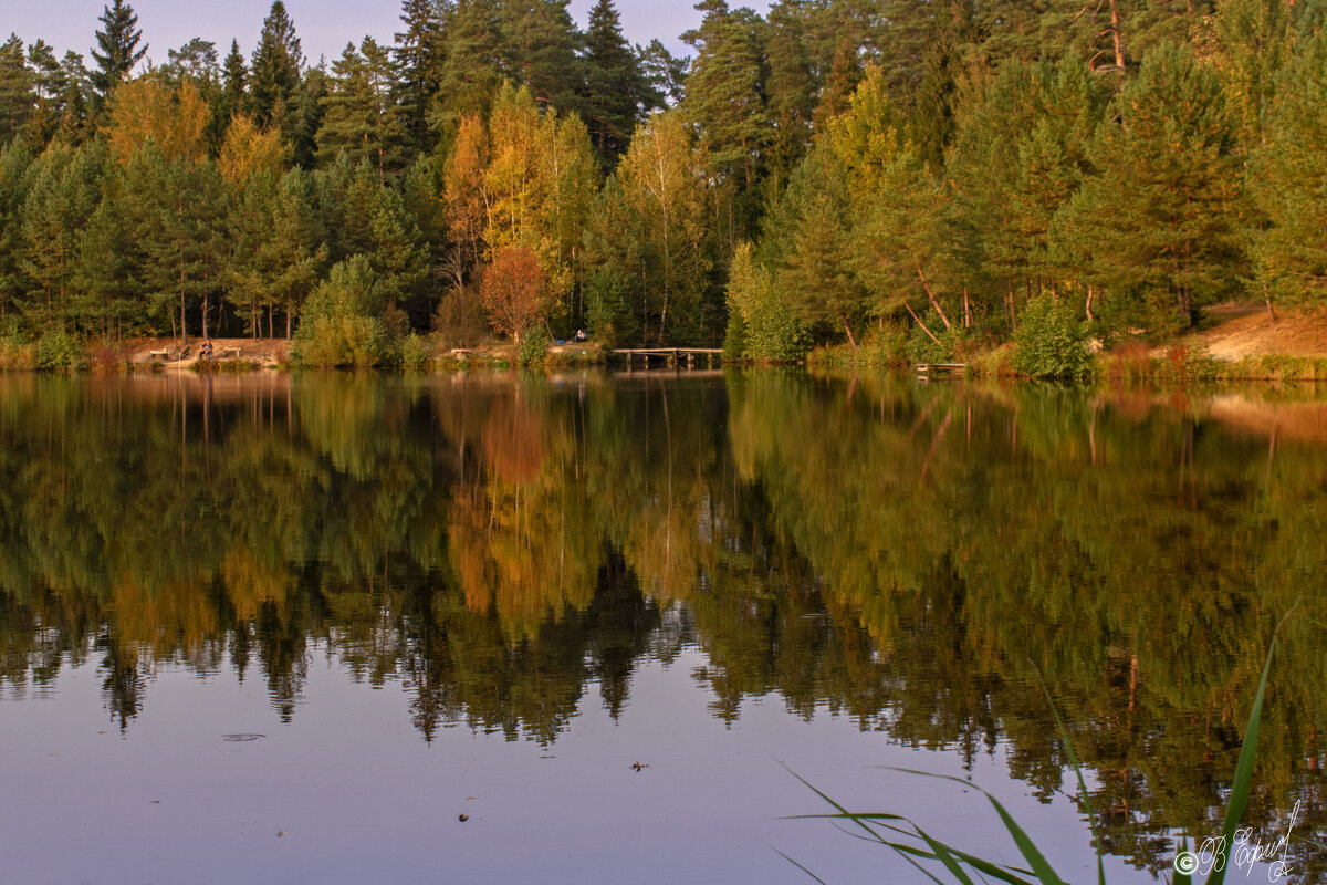 Осенний пейзаж у лесного озера - Владимир Ефимов