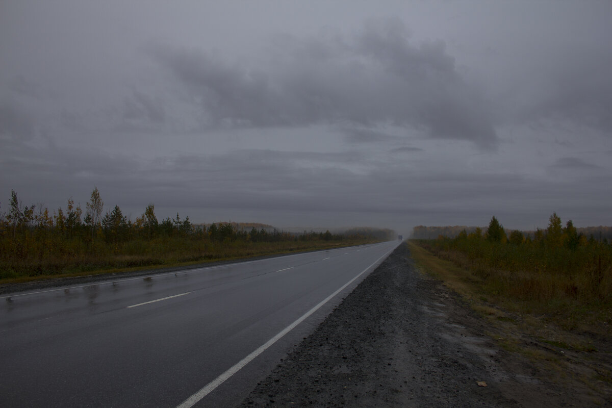 Туманным утром на дороге - Ilya Yurukin