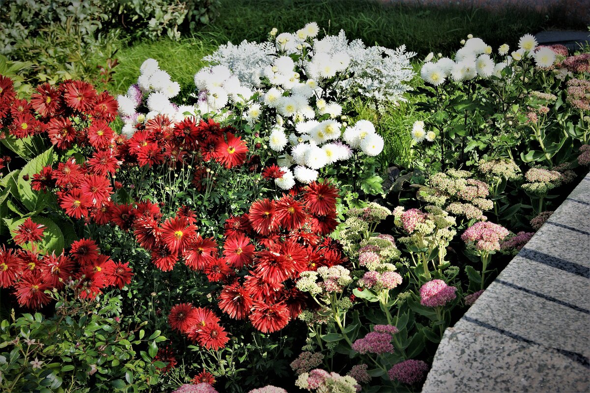 Цветы у храма - Виктор Никитенко