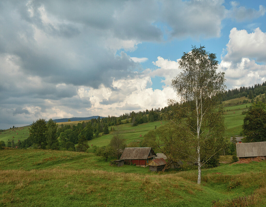 В Карпатах. - Юрий Гординский